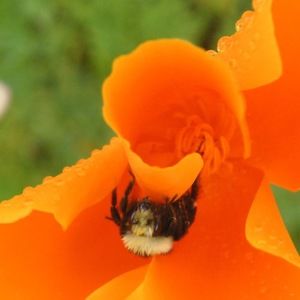 Meet your Posher, Julianne